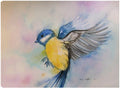 Canvas Art 32x24 P582