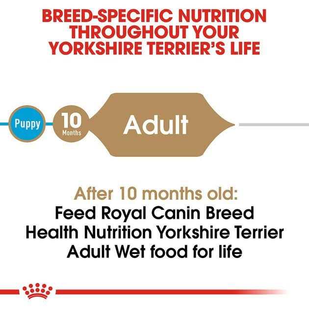 Yorkshire Terrier Adult Loaf In Sauce Dog Food Z439858