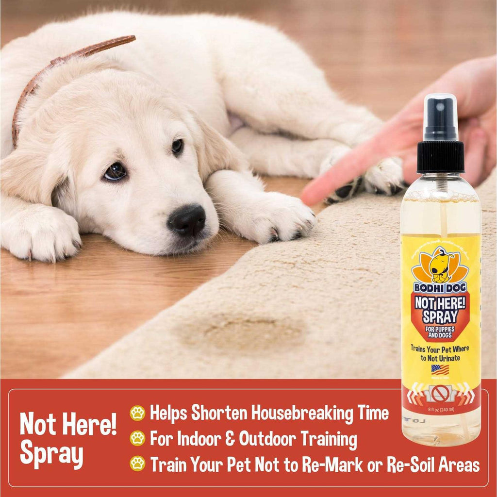 Pet Training Spray X6138
