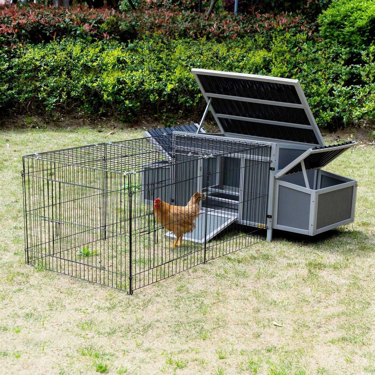 Outdoor Wooden Chicken Coop with Waterproof Roof J319