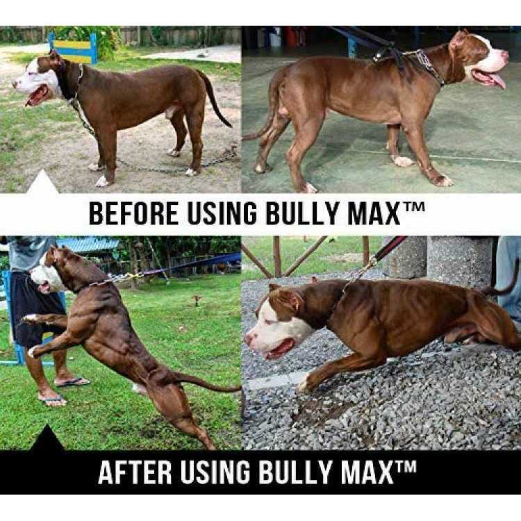 Bully Max Canine Supplement H223720