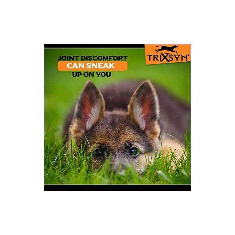 Canine Joint Supplement U166