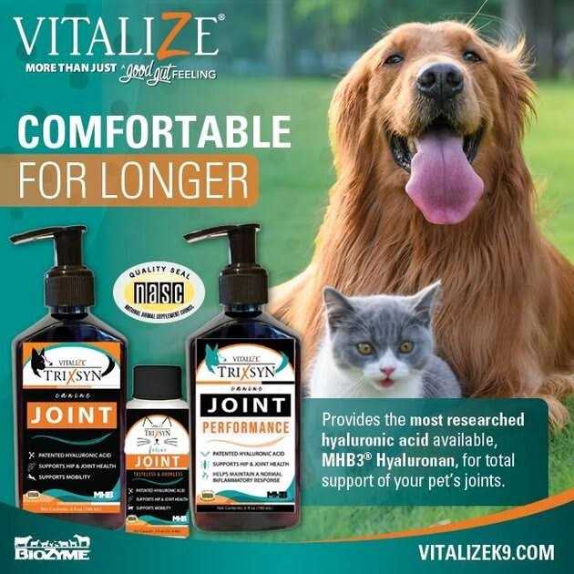 Canine Joint Supplement U166