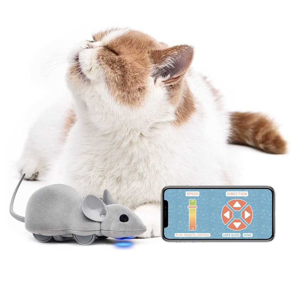 Cat Toy Y1547