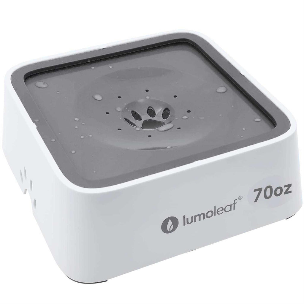 Dog Water Bowl Slow Feeder No Spill R395229