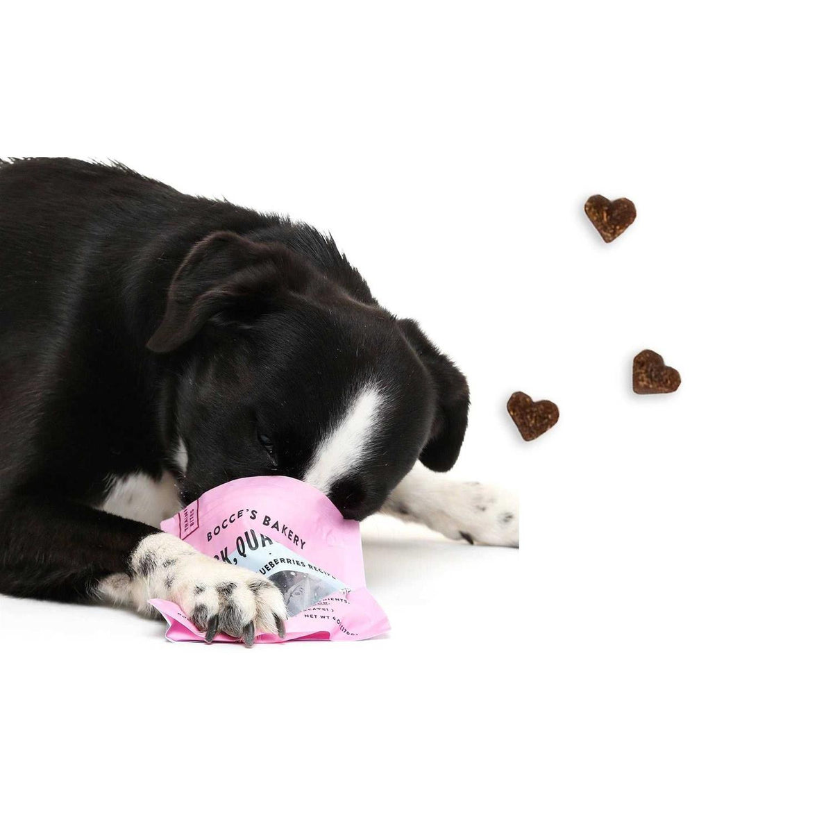 Dog Treats N4639