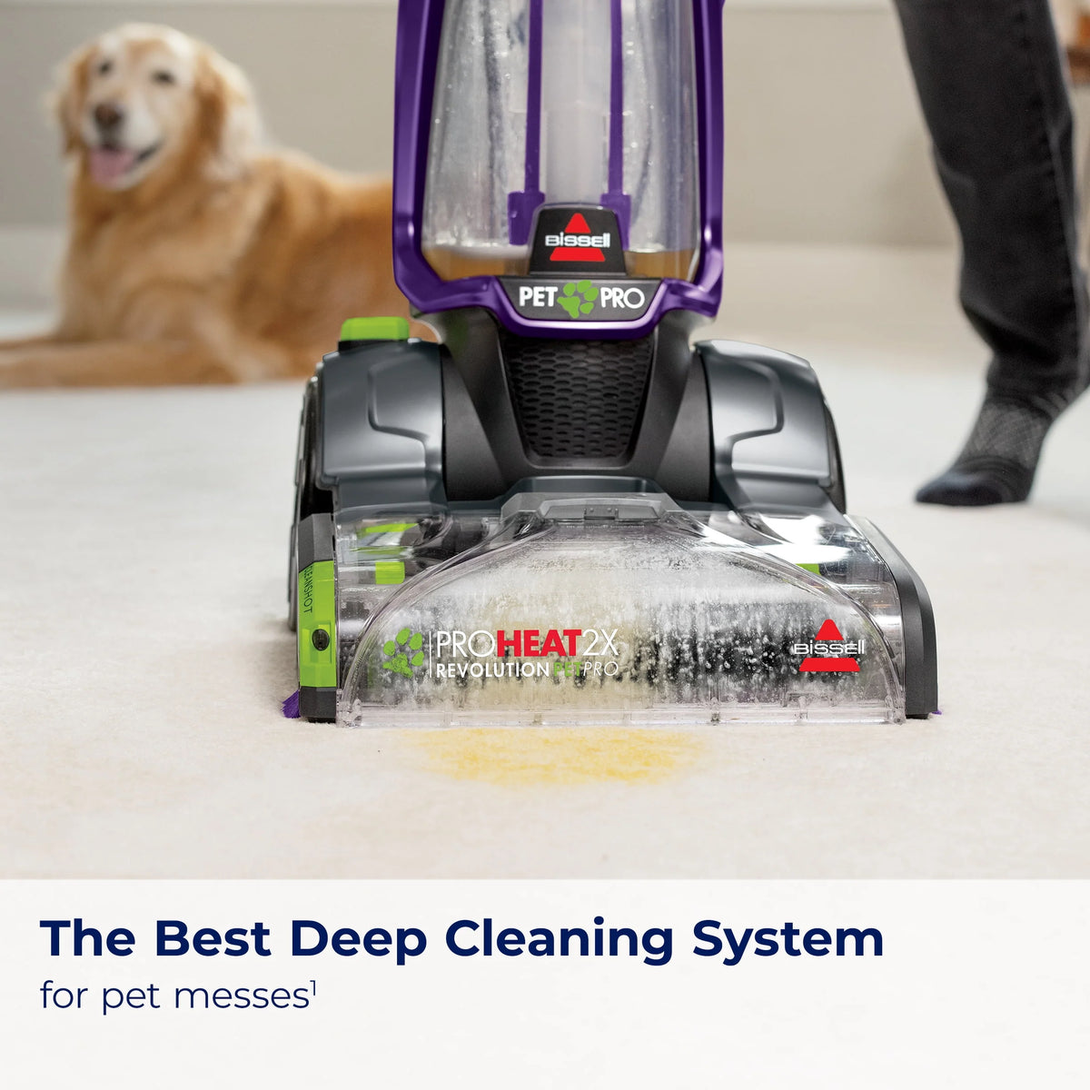 Full-Size Pet Carpet Cleaner O3633