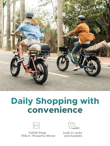 Electric Bike 20'' Fat Tire 52V 13Ah 7 Speed Dual Suspension A10193