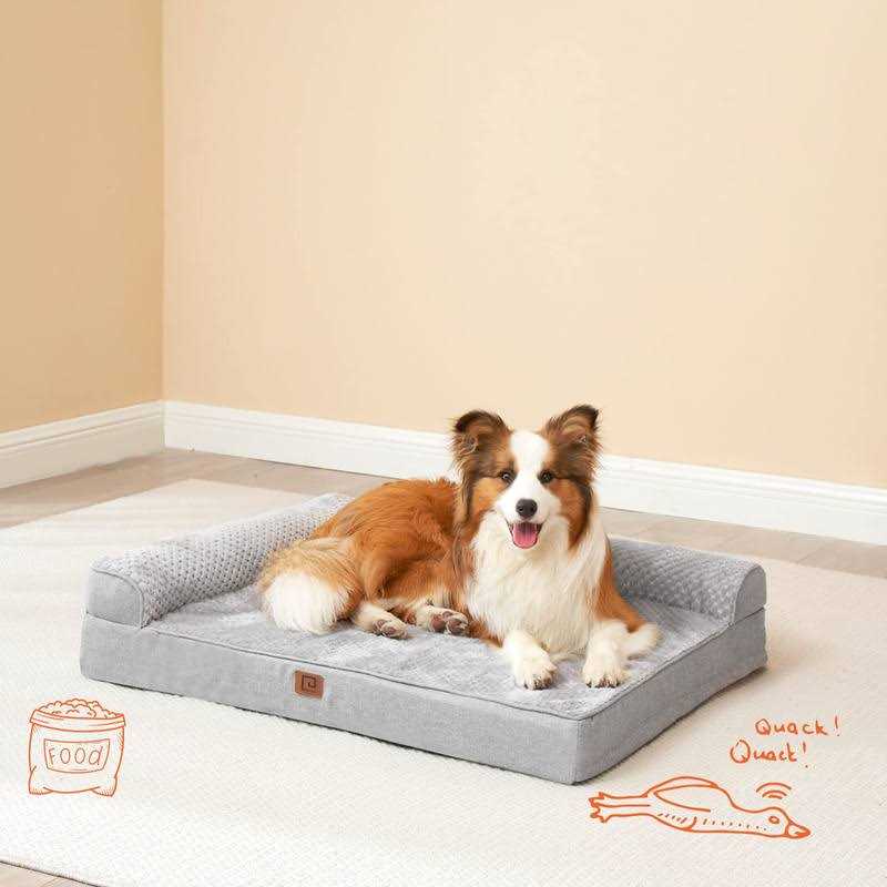 Small Dog Bed Cat Bed Pet Bed Y66714