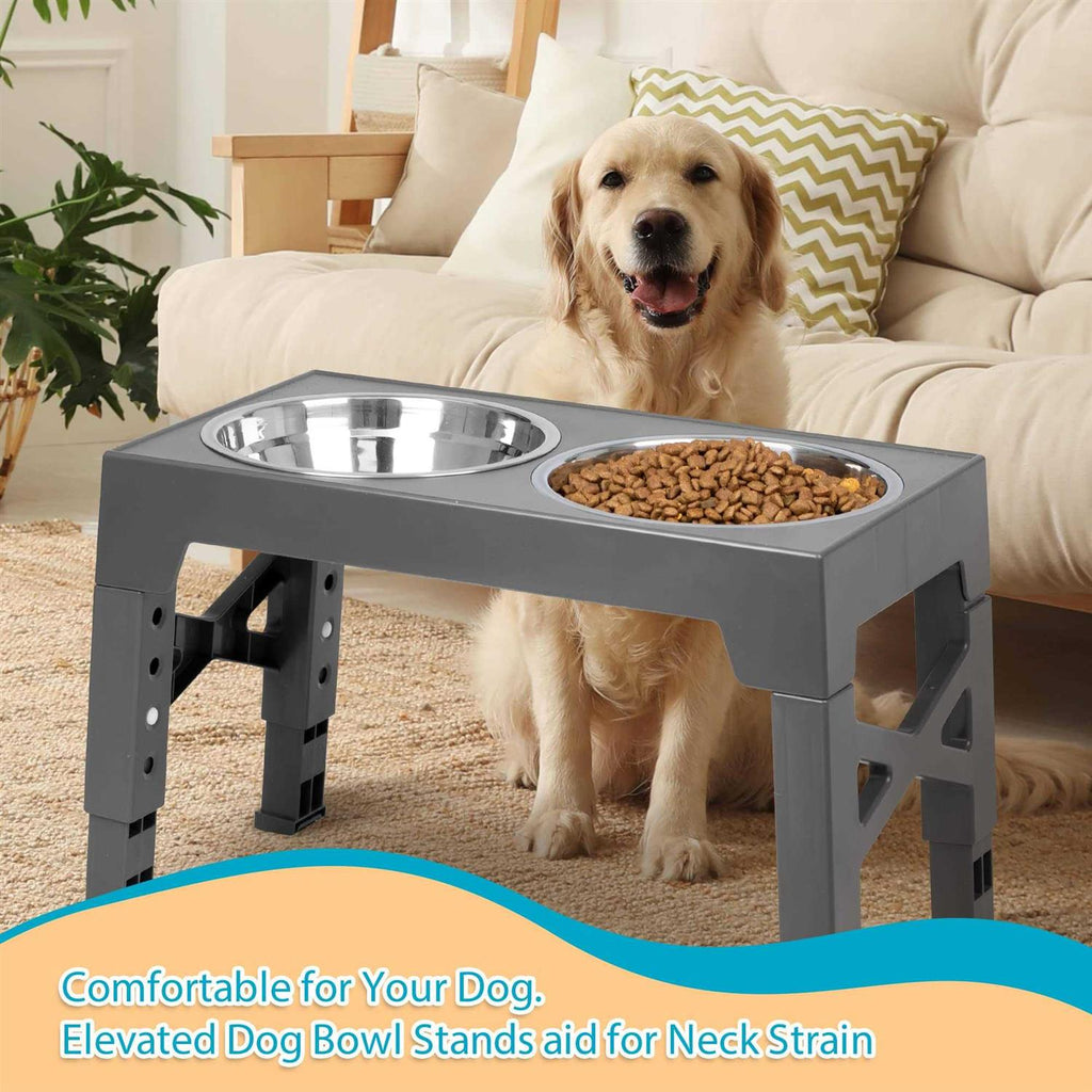 Elevated Dog Bowls with 2 Stainless Steel Dog Food Bowls J445663
