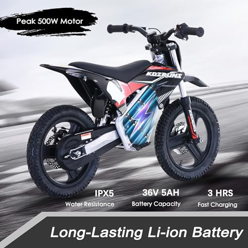 Blue 36V Electric Dirt Bike with 14'' Off-Road Knobby Tires C933464