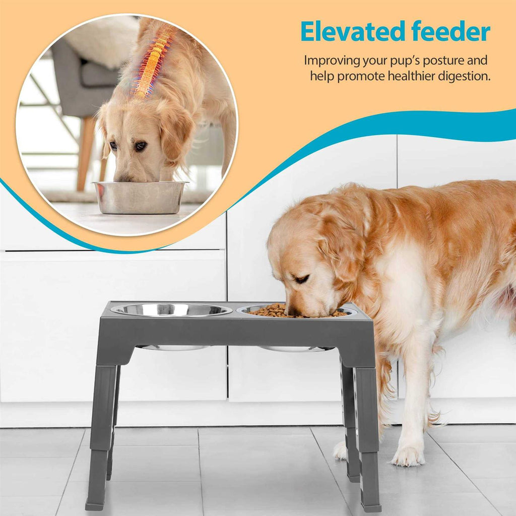 Elevated Dog Bowls with 2 Stainless Steel Dog Food Bowls J445663