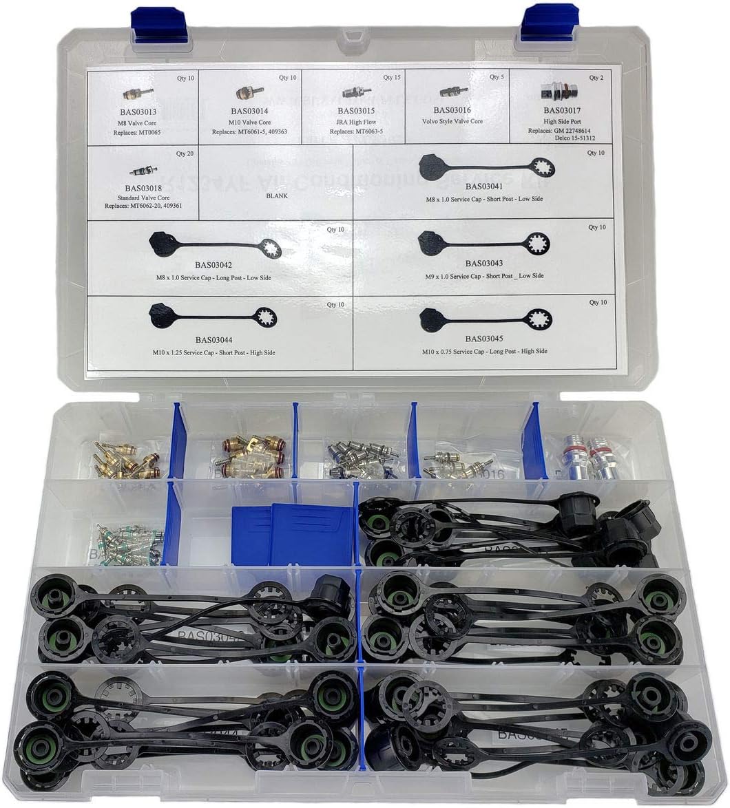 A/C Valve Core & Cap Assortment Kit 11 Styles 112 Pieces I514187