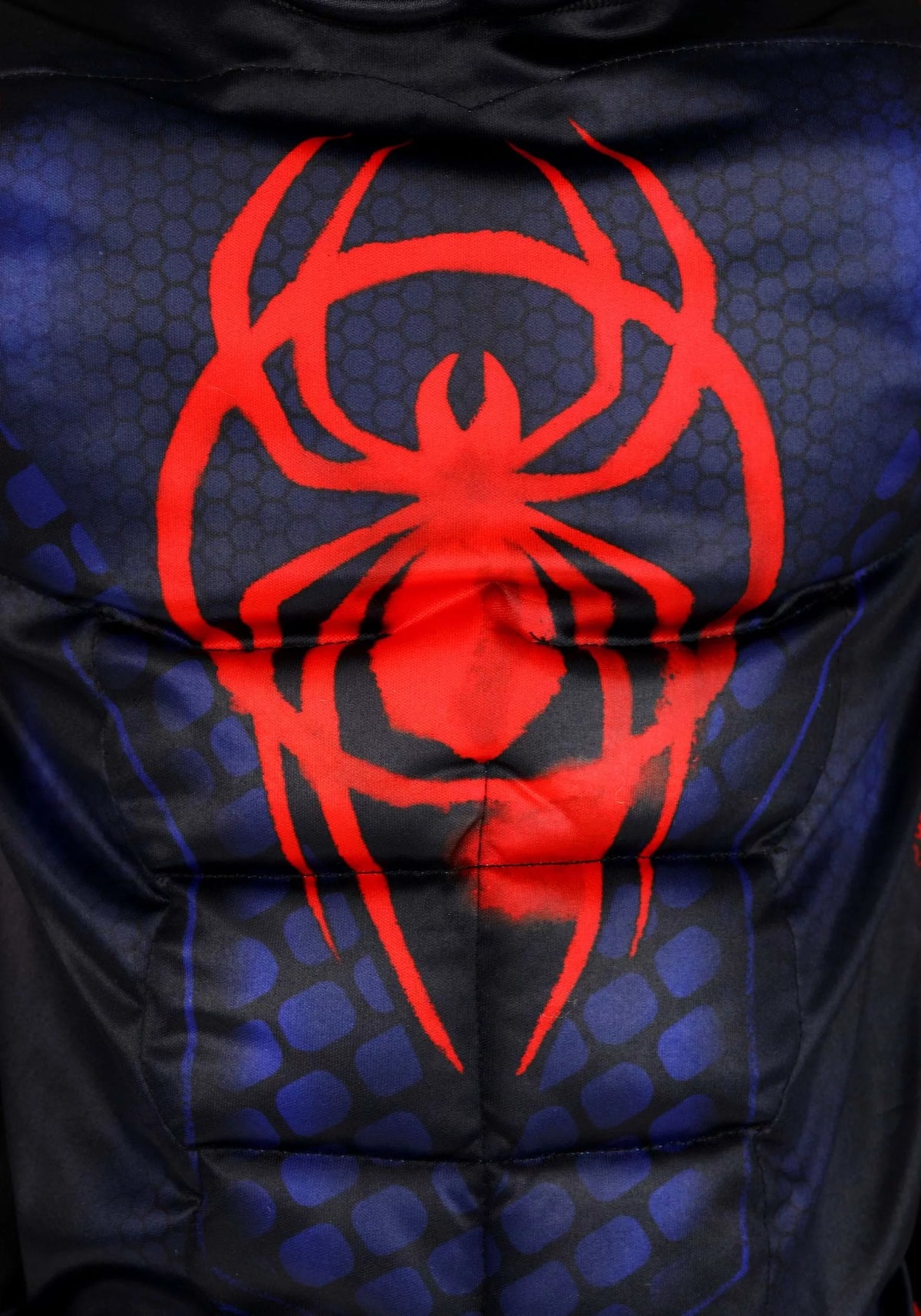 Miles Morales Spider-man Boys Deluxe Halloween Costume V5482