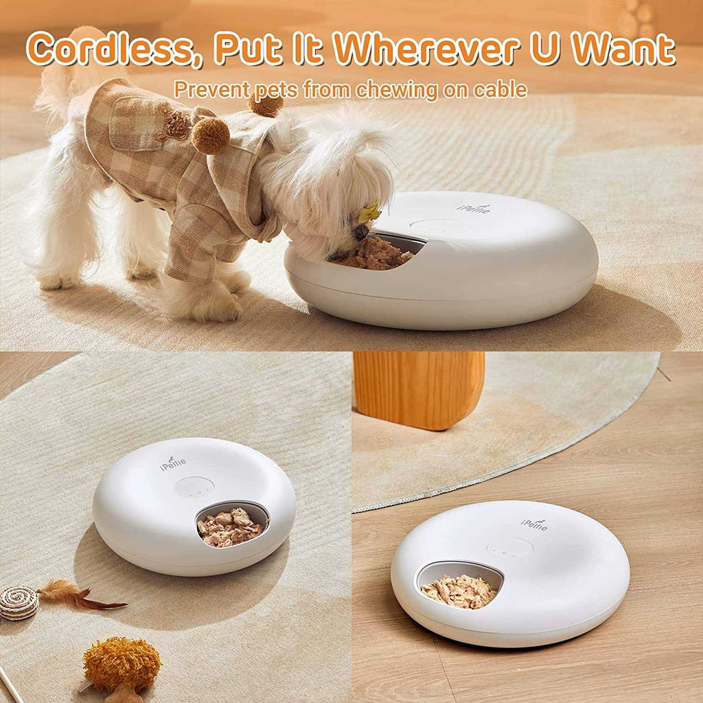 Automatic Pet Feeder Y40899