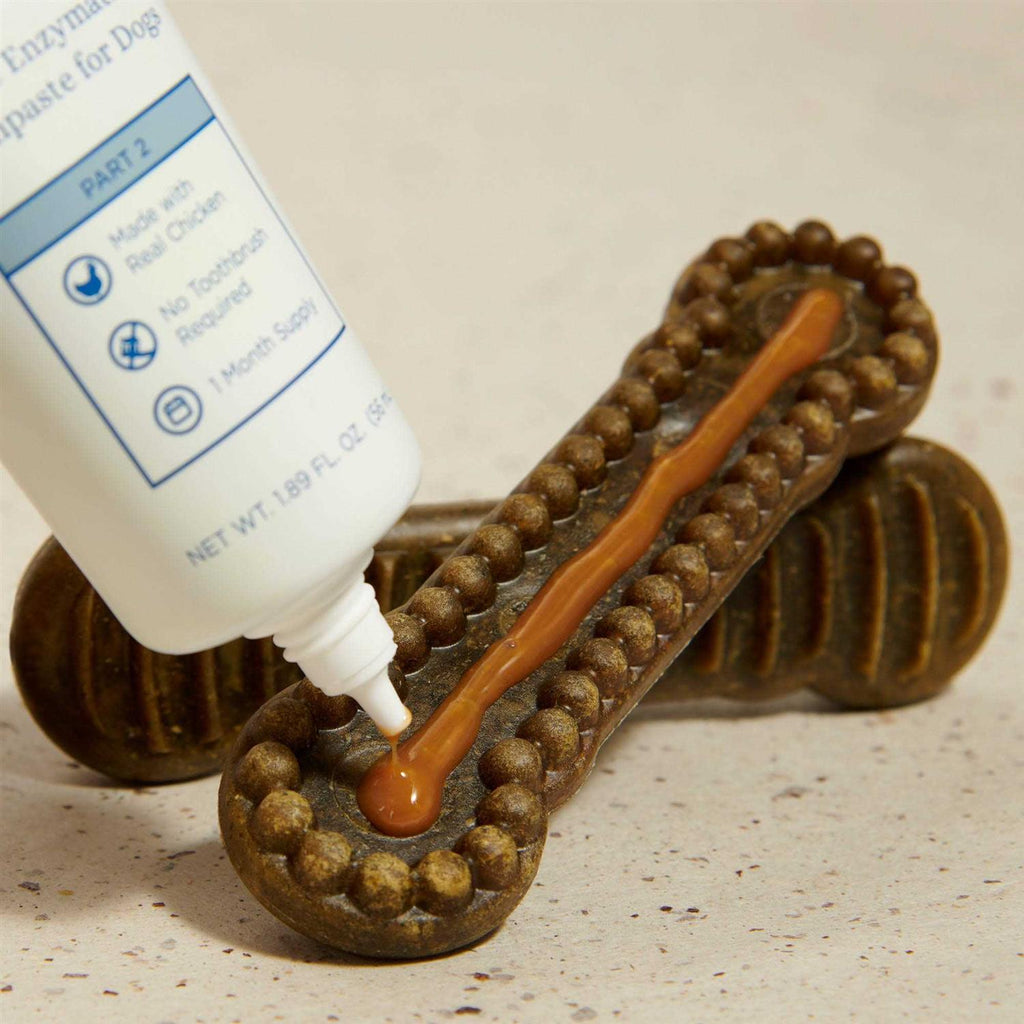 Long Lasting Dog Dental Chews H780592