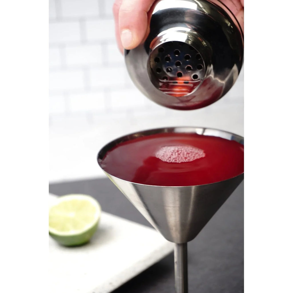 Silver Stainless Steel Martini Glass Set of 2 Z485