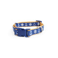 Dog Collar H27985