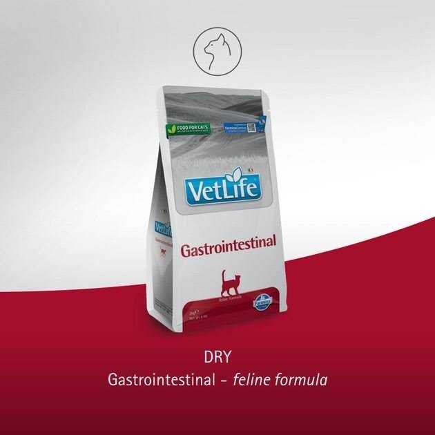 Farmina Vet Life feline Gastrointestinal E608840