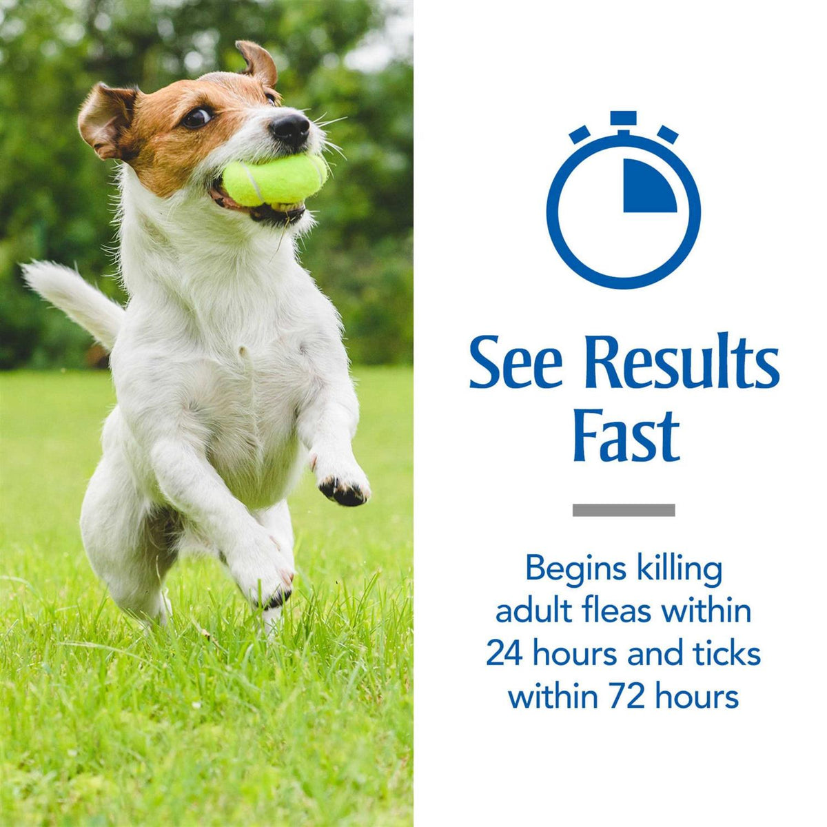 Flea and Tick Treatment for Medium Dogs T25952