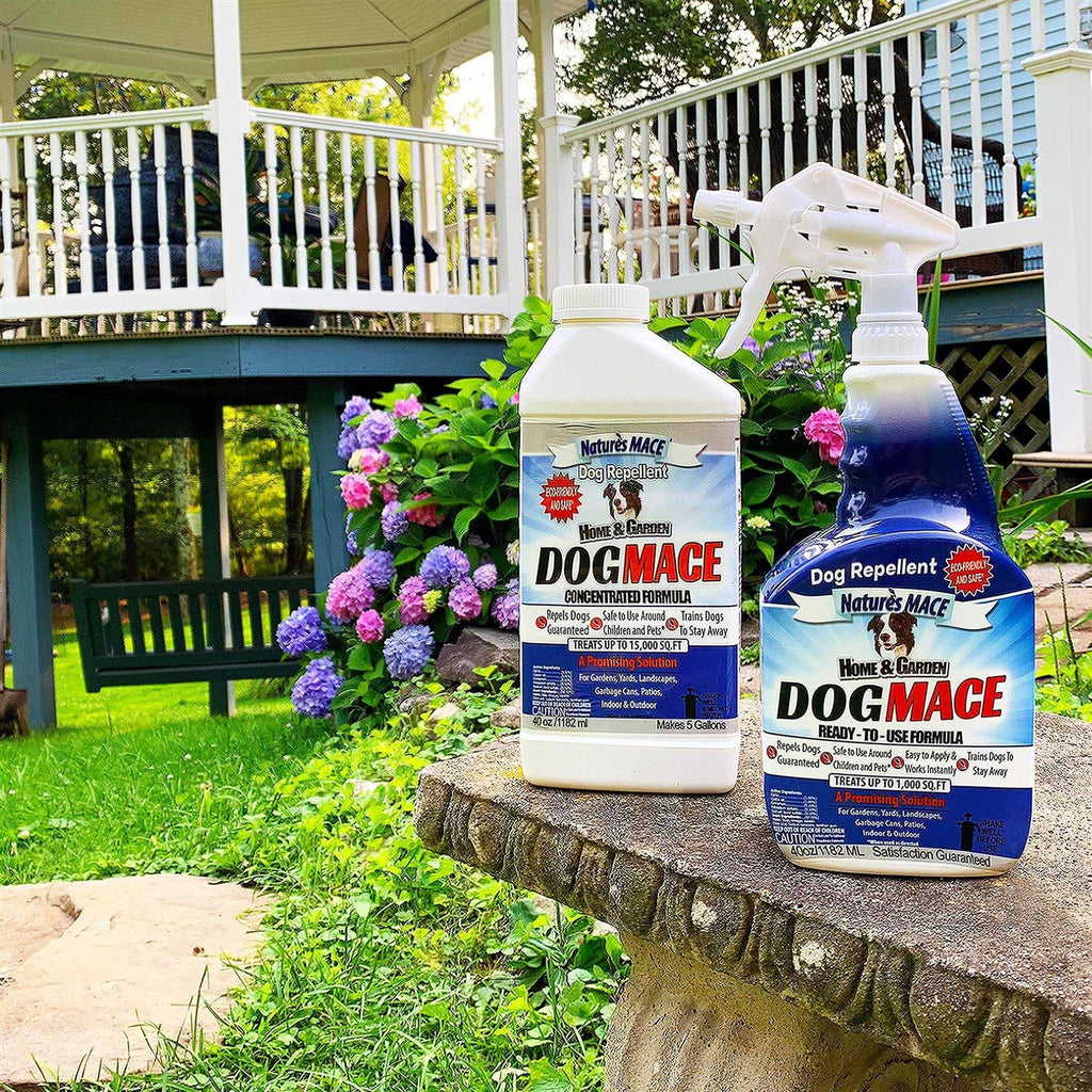 Dog Mace 40oz Concentrate F96046