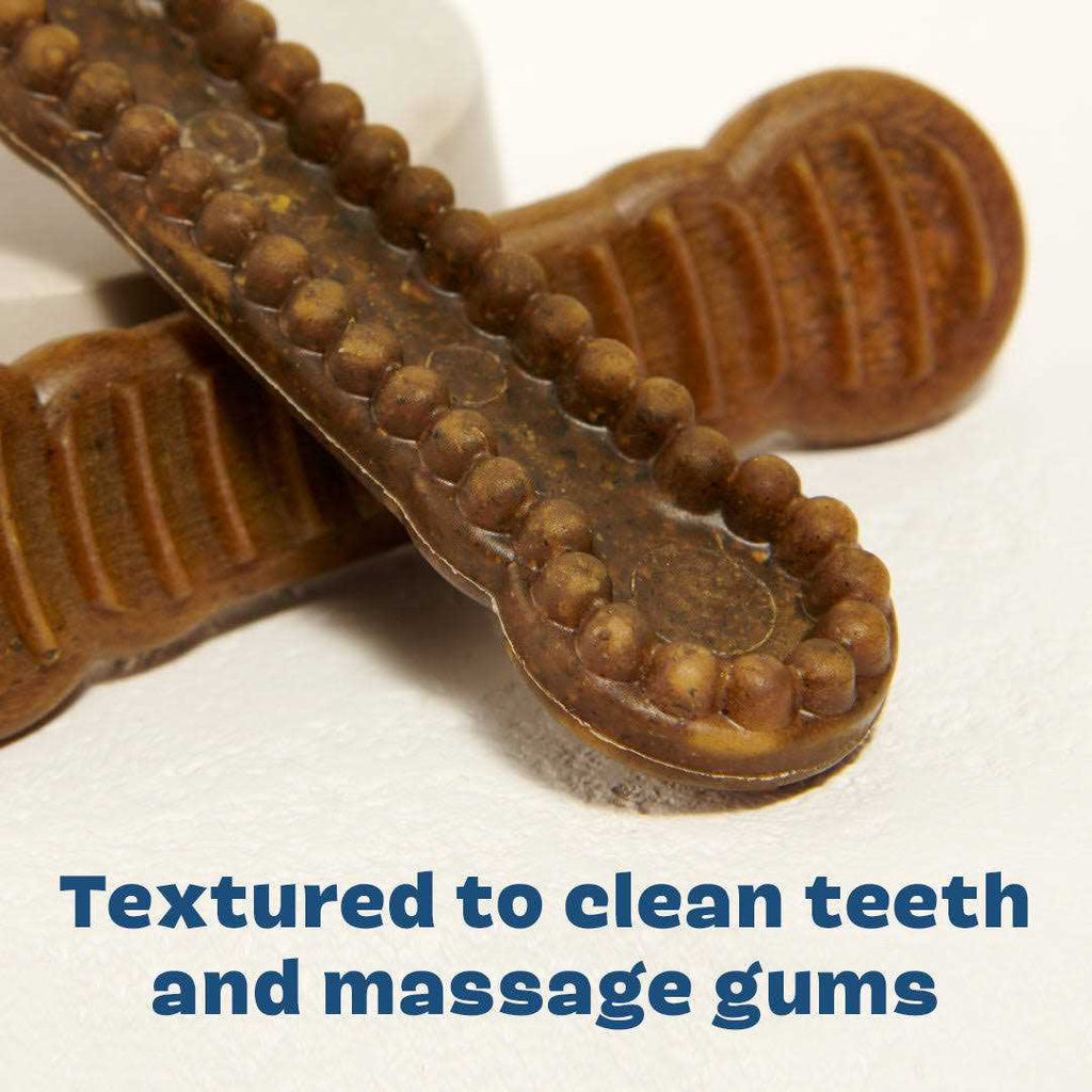 Long Lasting Dog Dental Chews H780592
