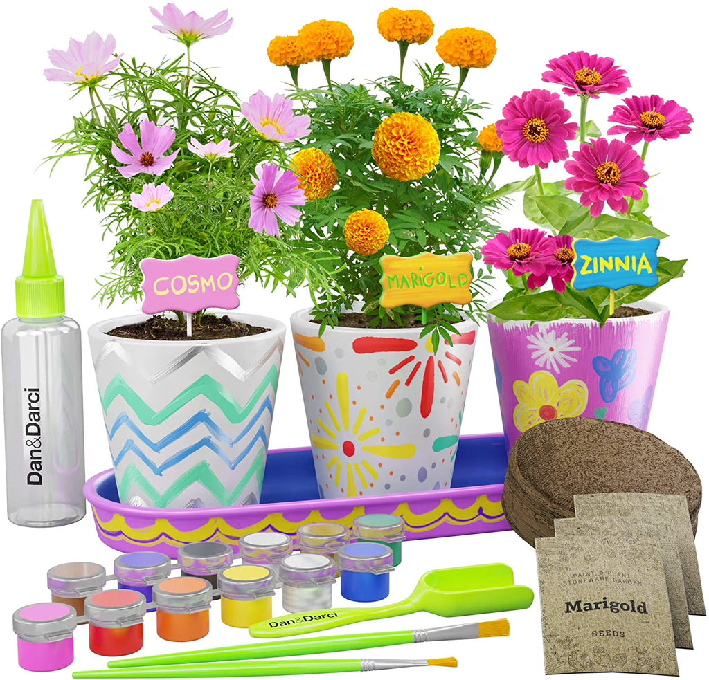 Paint & Plant Stoneware Flower Growing Kit G44941
