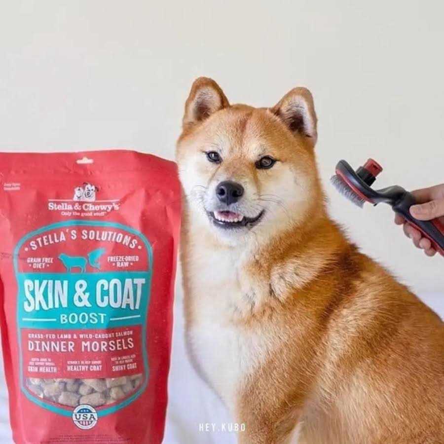 Lamb & Salmon Dog Food X1069