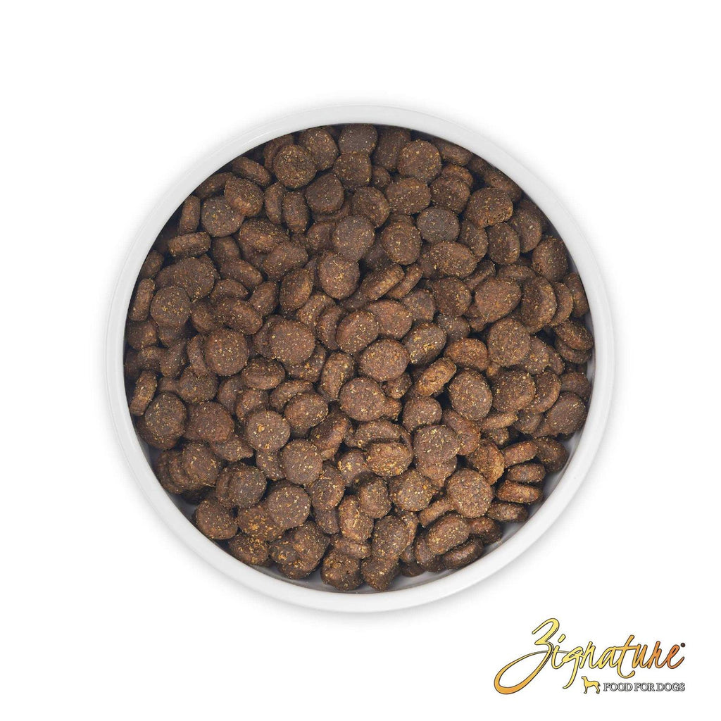 Trout & Salmon Formula Dry Dog Food I128