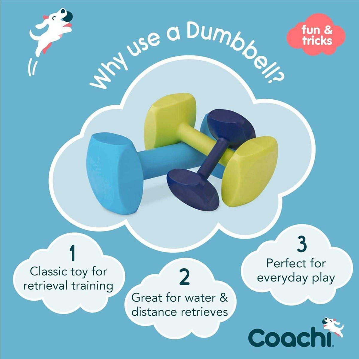 Dumbbell Training K248368