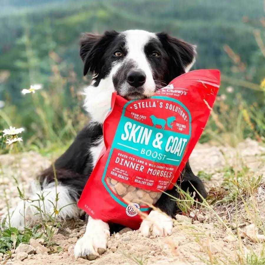 Lamb & Salmon Dog Food X1069