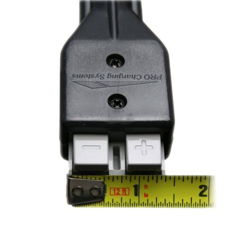 36 Volt 25 Amp Dual Pro Eagle Charger Q79683