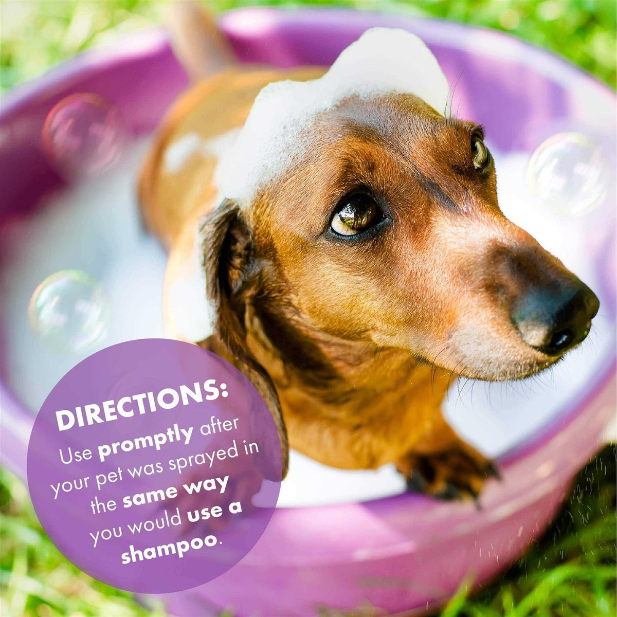 Pet Shampoo Z52763