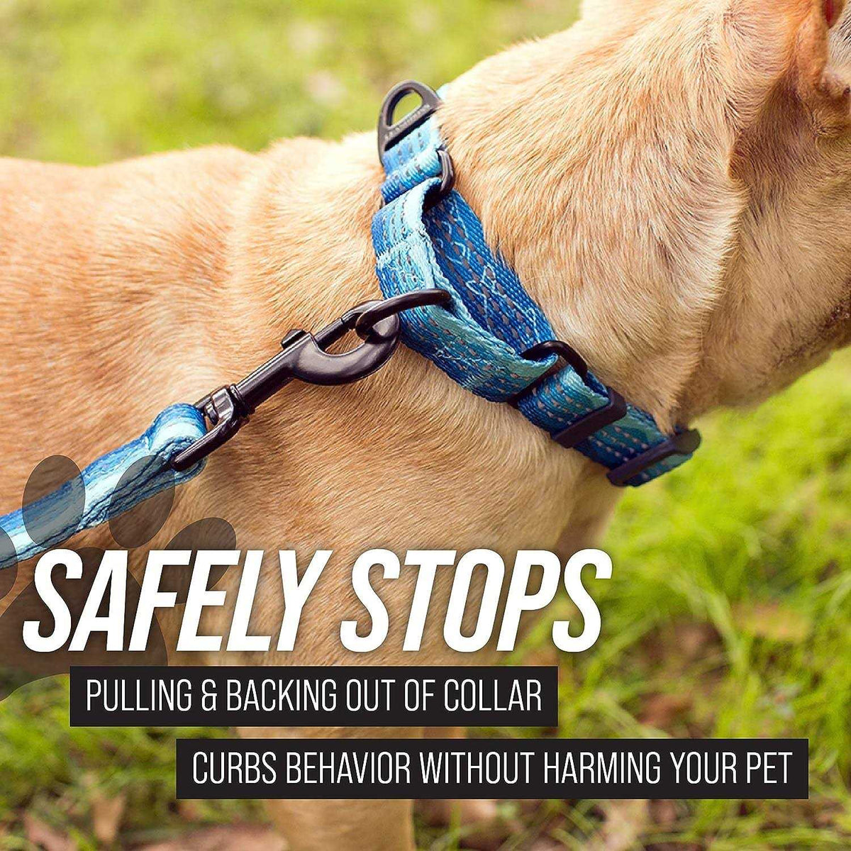 Patterned Fabric Martingale Dog Collar J70274