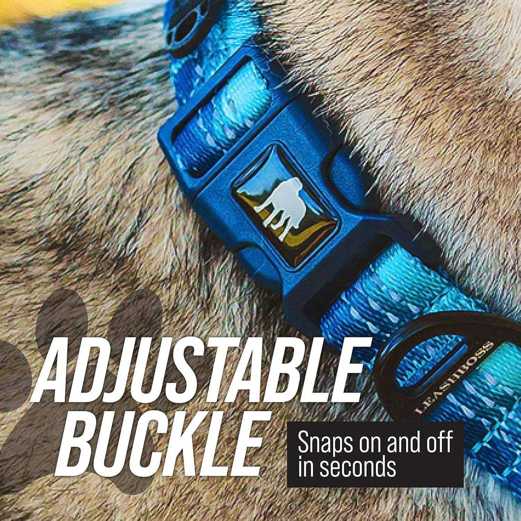 Patterned Fabric Martingale Dog Collar J70274
