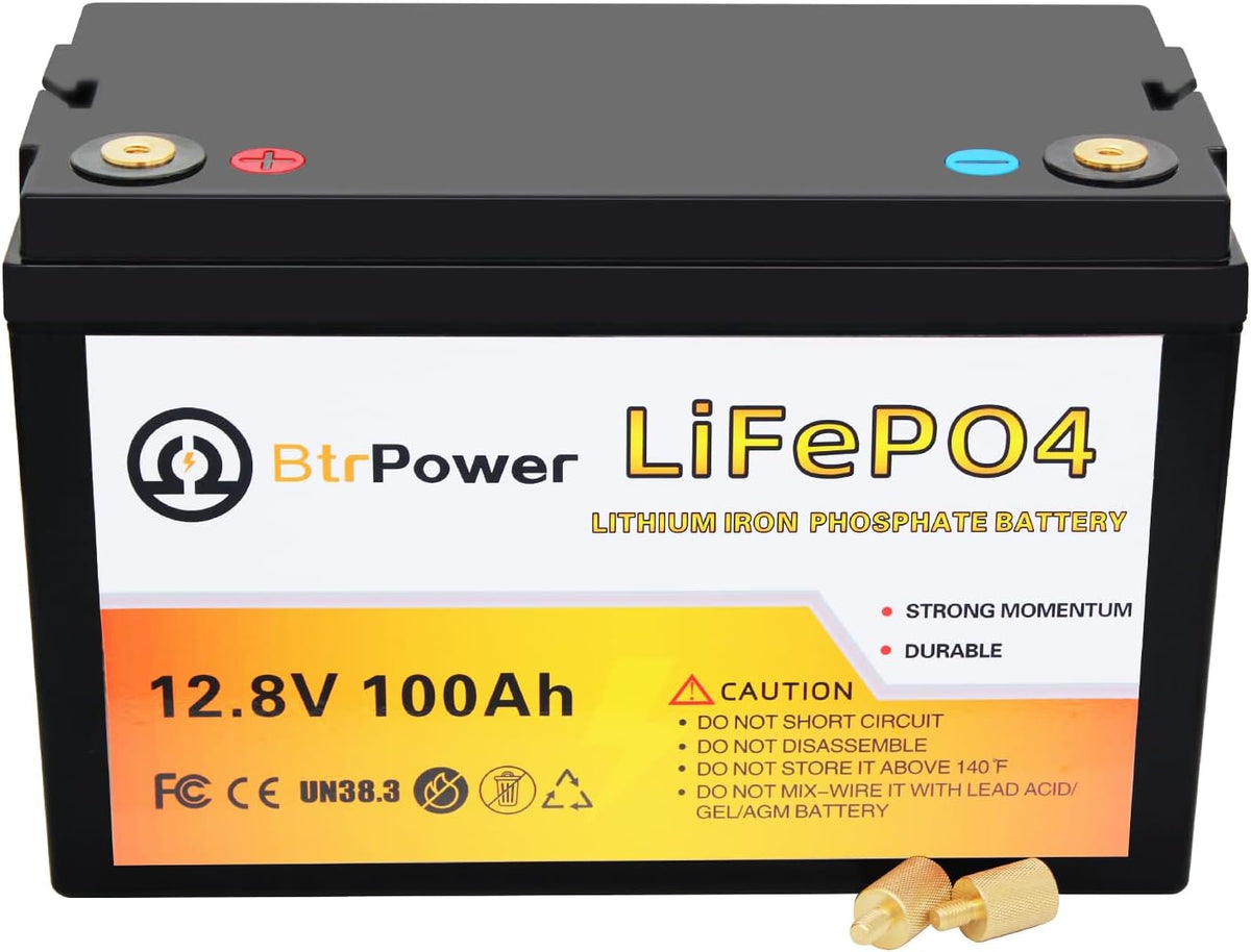 12V 50Ah LiFePO4 Deep Cycle Battery with 50A BMS L319