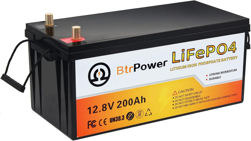 12V 50Ah LiFePO4 Deep Cycle Battery with 50A BMS L319