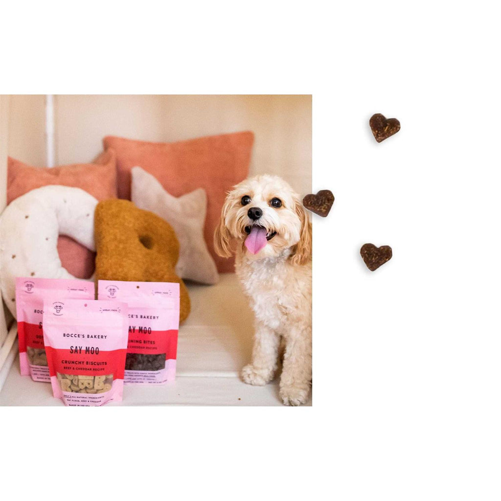Dog Treats N4639