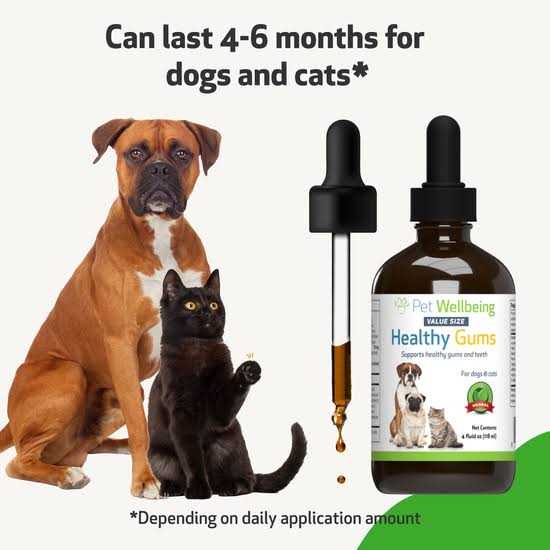 Healthy Gums for Feline Periodontal Health S732