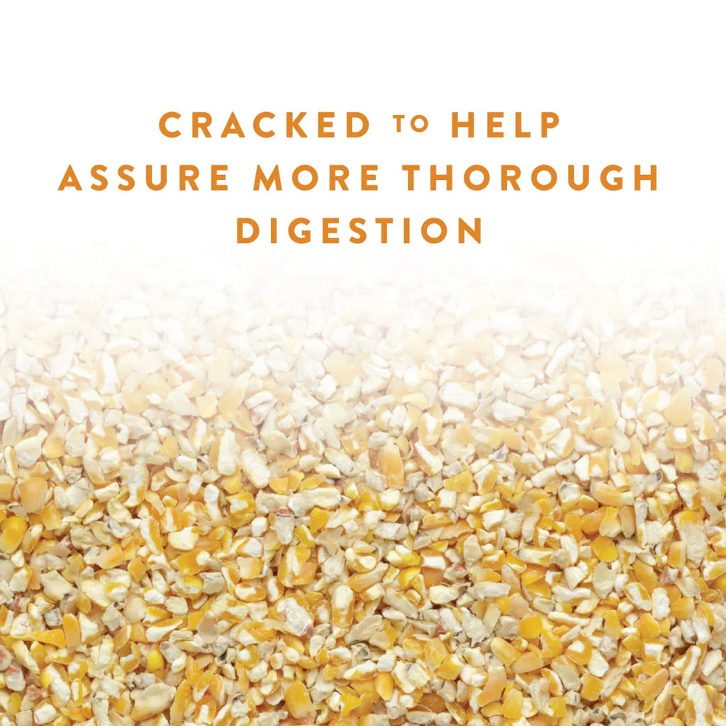 Cracked Corn Animal Feed, 40 lb P202030