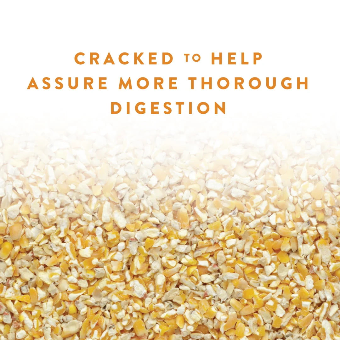 Cracked Corn Animal Feed, 40 lb P202030