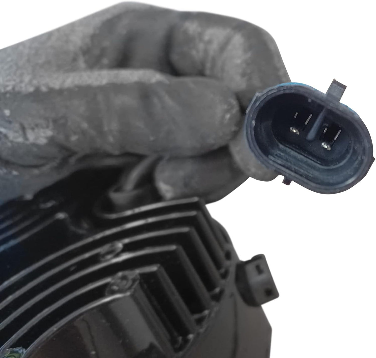 Fog Light Pack of 2 N411264