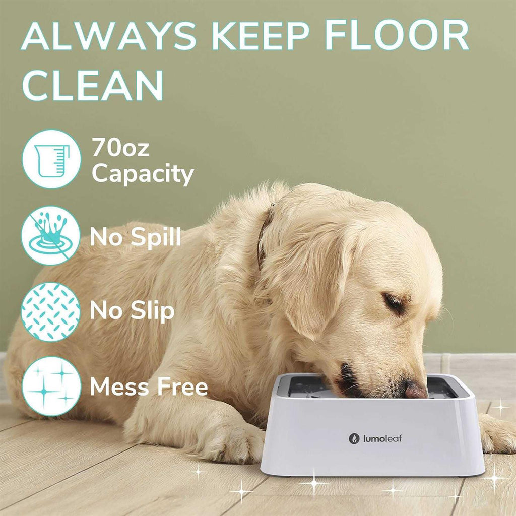 Dog Water Bowl Slow Feeder No Spill R395229