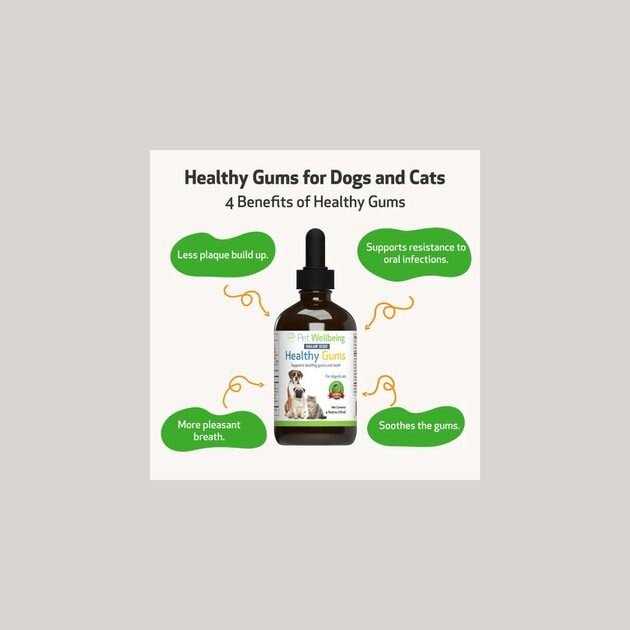 Healthy Gums for Feline Periodontal Health S732