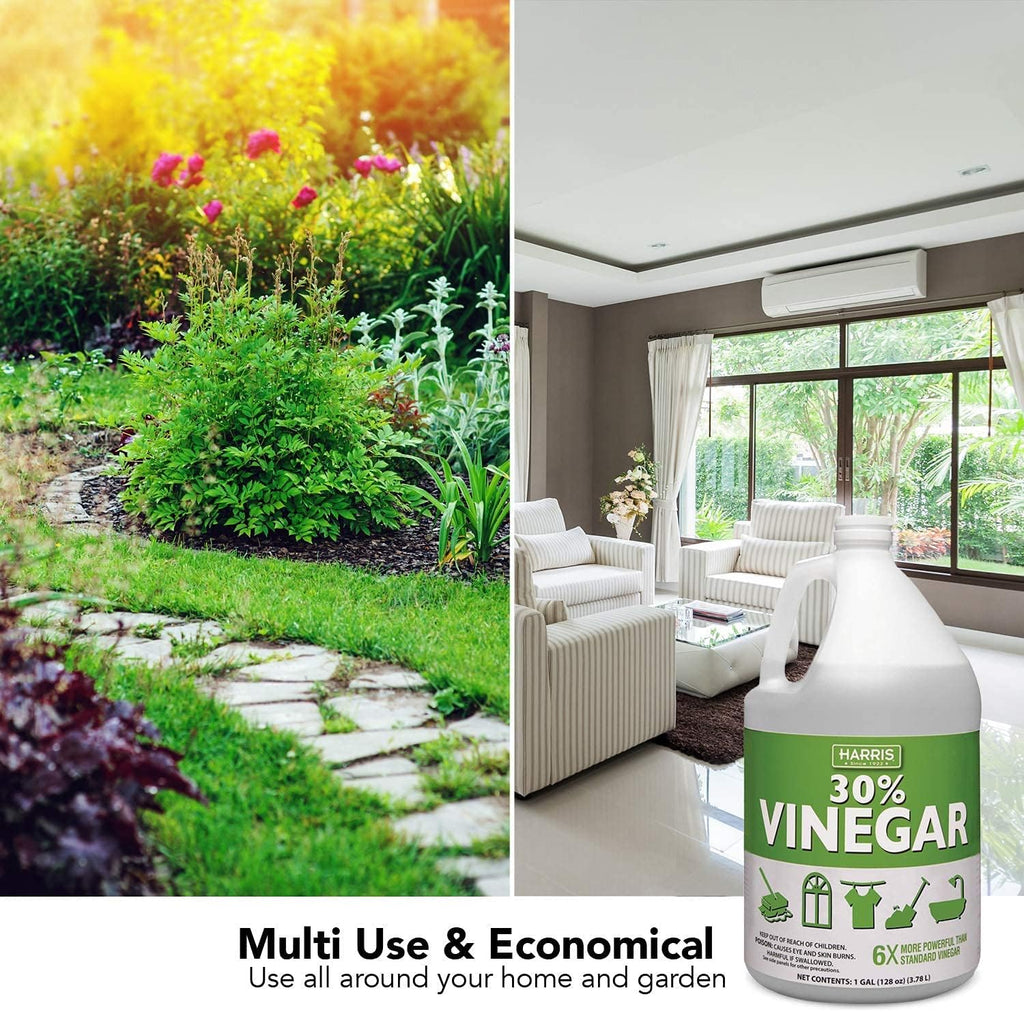 30% Pure Vinegar Extra Strength with Funnel, Pack of 4 Gallons U3603