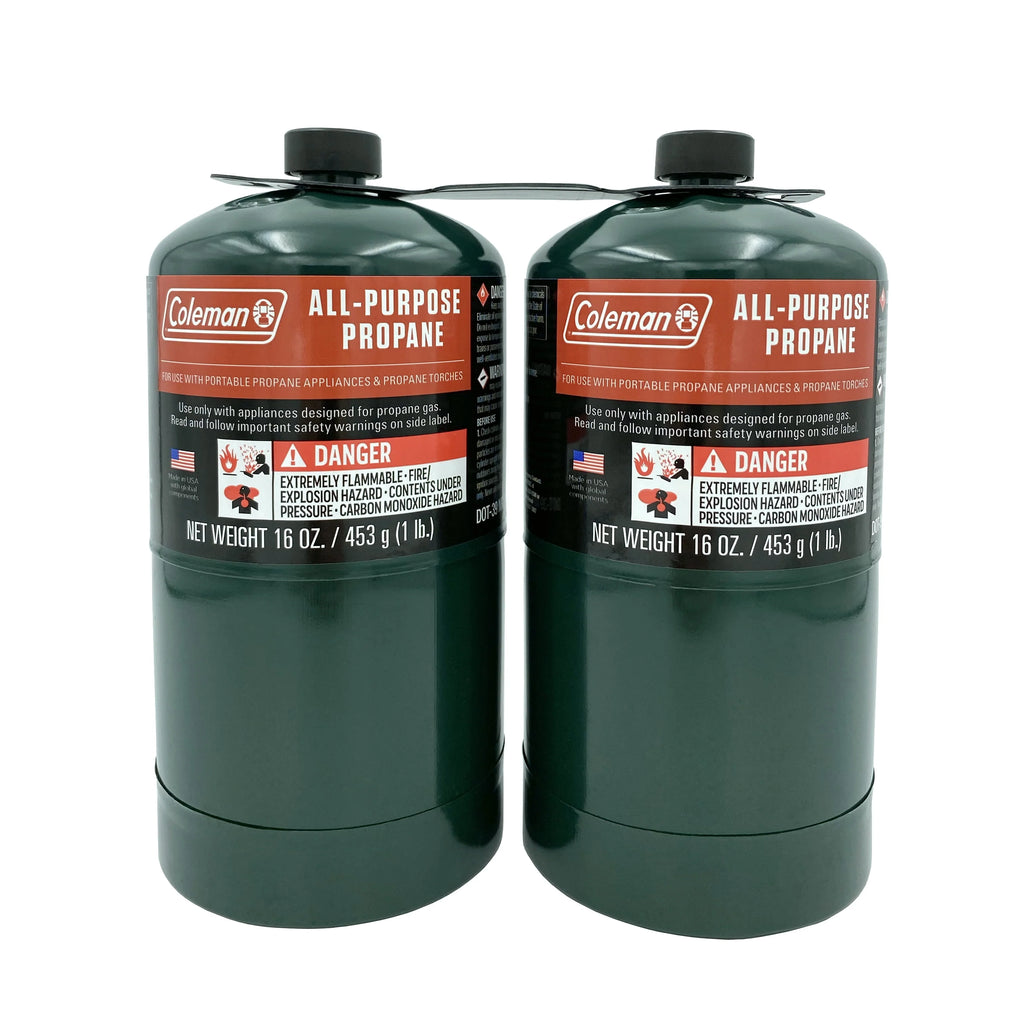 16 ounce 2-Pack Propane Gas Cylinder N2805