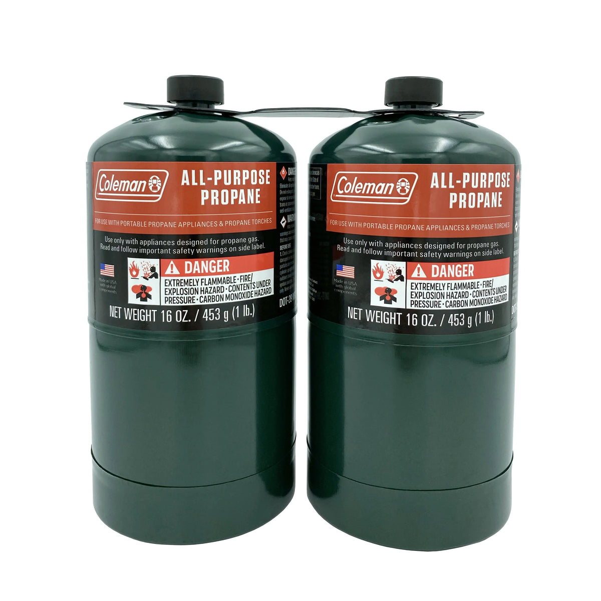 16 ounce 2-Pack Propane Gas Cylinder N2805