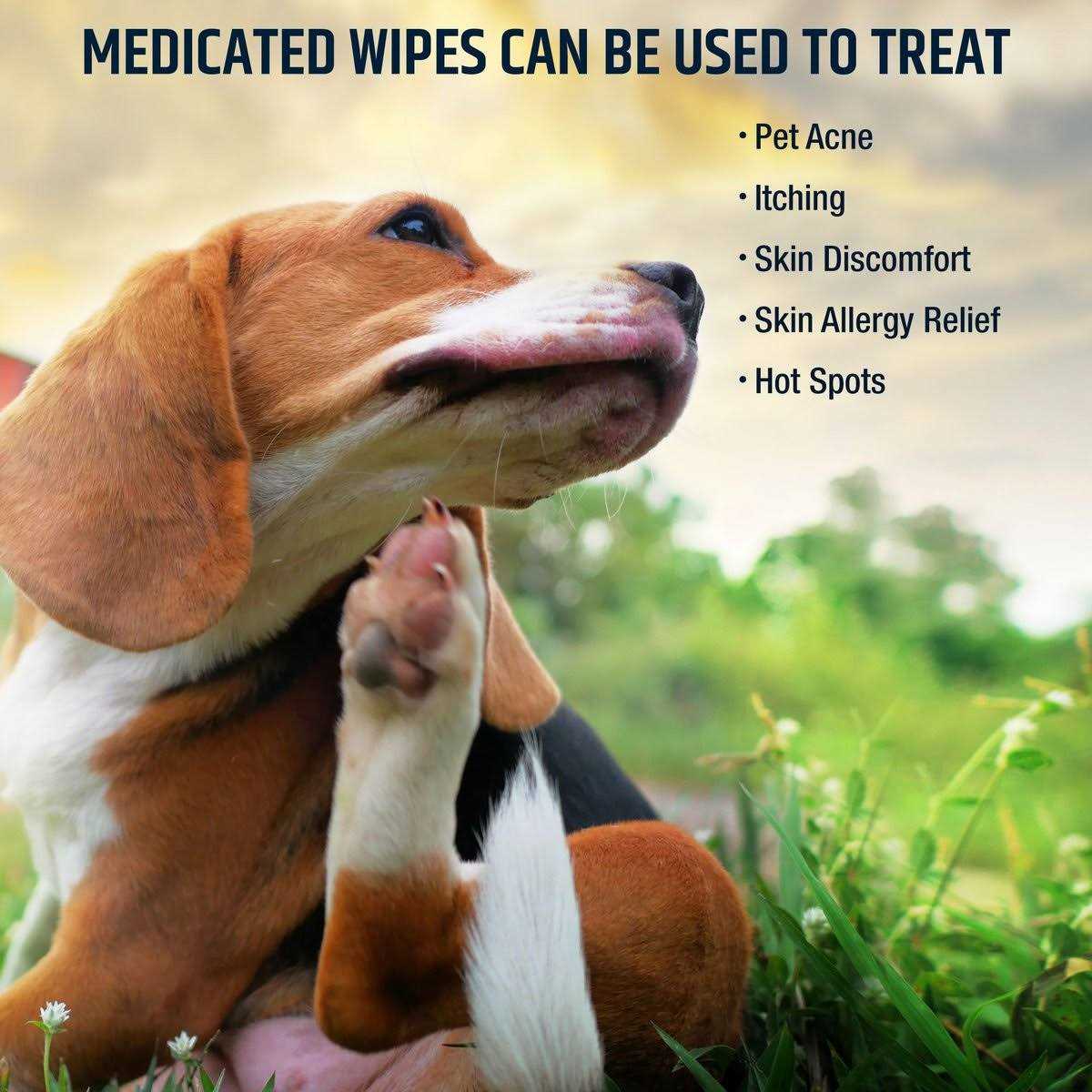 Chlorhexidine Dog & Cat Wipes I7527