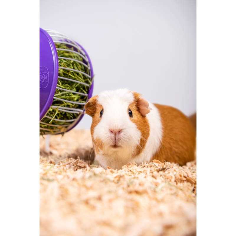 Pet Bedding M5364
