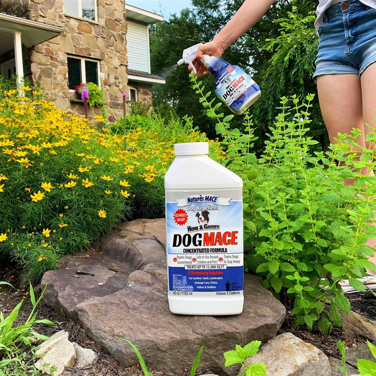 Dog Mace 40oz Concentrate F96046